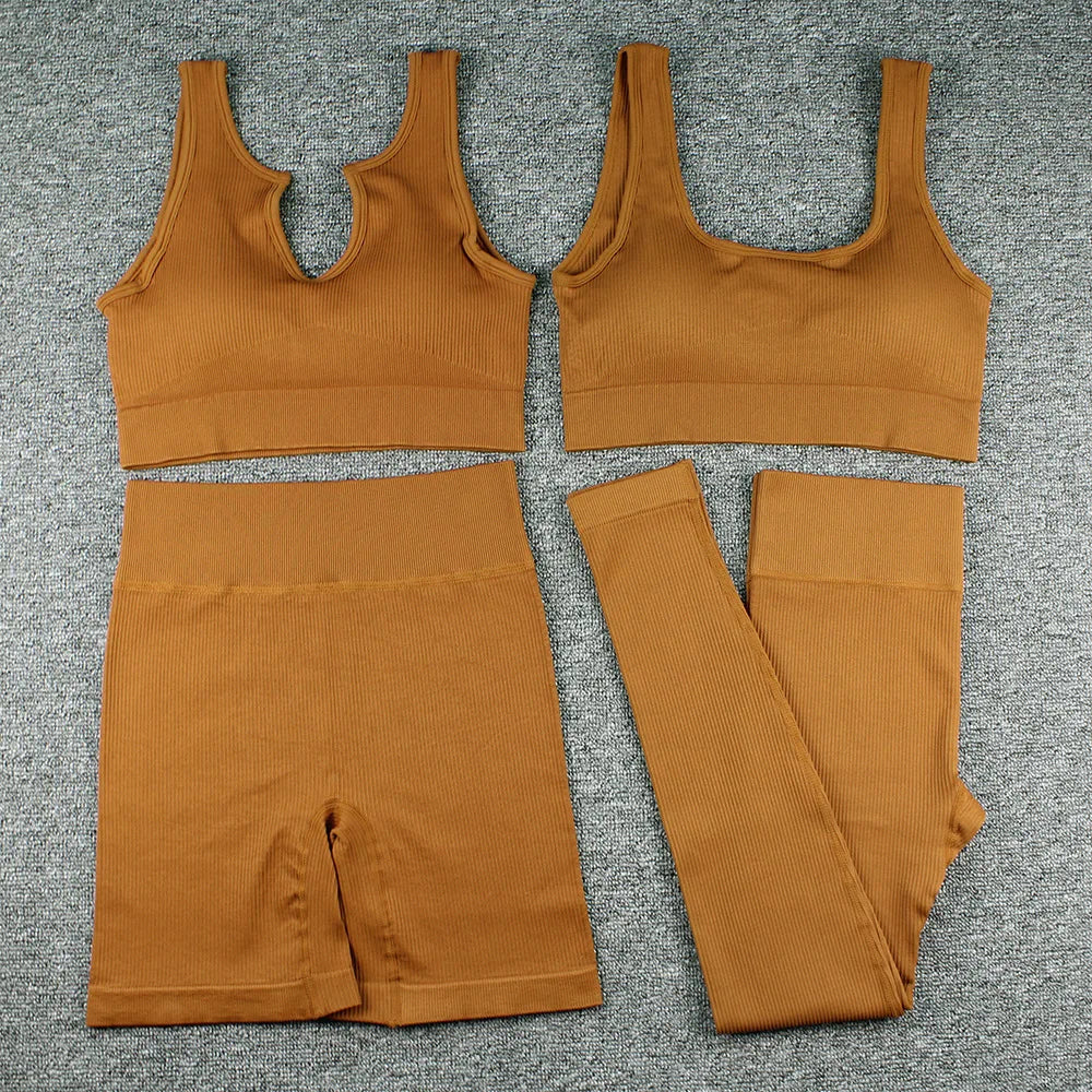 Yoga Sports Bra Tank Top Pants Shorts
